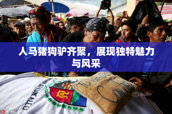 人马猪狗驴齐聚，展现独特魅力与风采