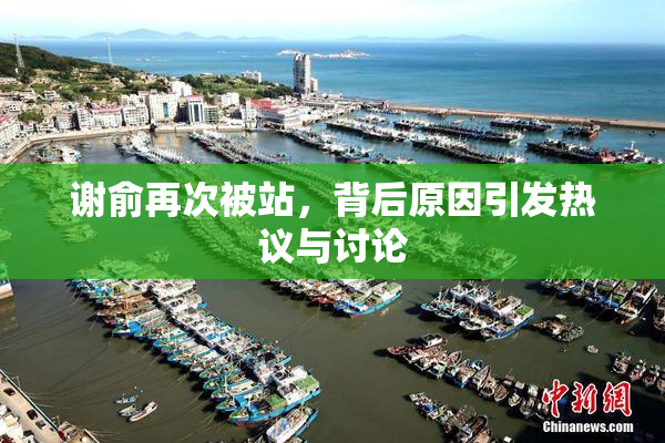 谢俞再次被站，背后原因引发热议与讨论