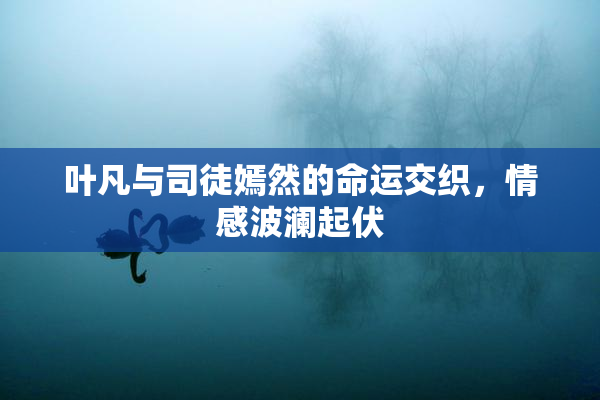叶凡与司徒嫣然的命运交织，情感波澜起伏