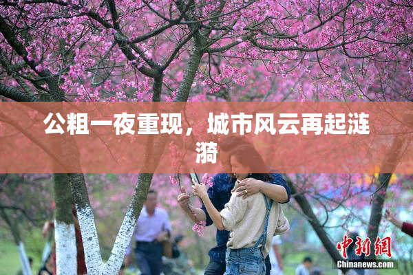 公粗一夜重现，城市风云再起涟漪