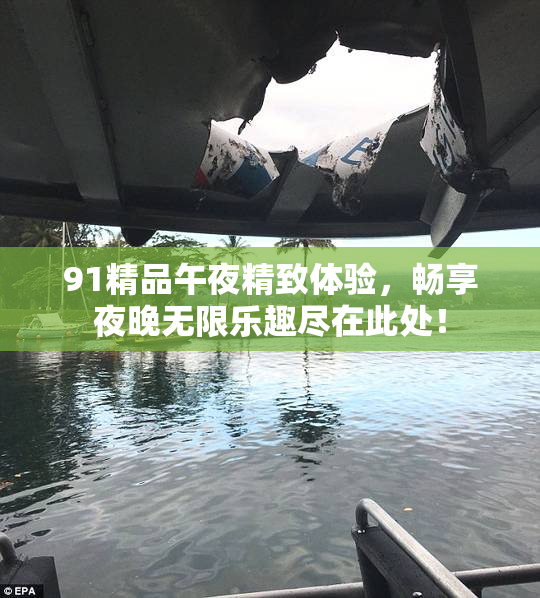 91精品午夜精致体验，畅享夜晚无限乐趣尽在此处！