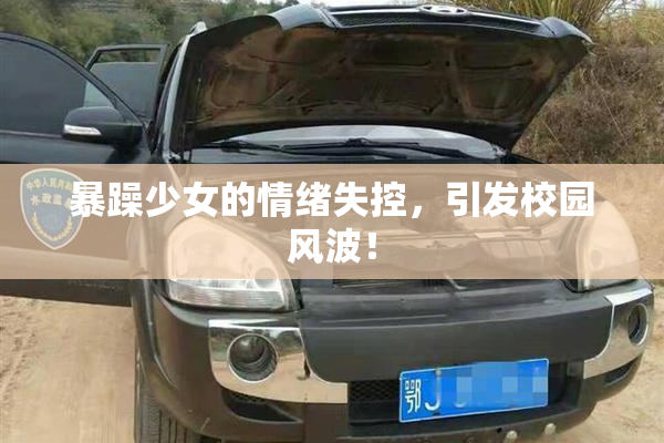 暴躁少女的情绪失控，引发校园风波！