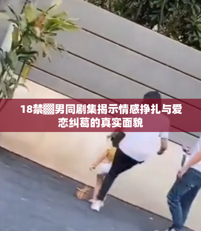 18禁▓男同剧集揭示情感挣扎与爱恋纠葛的真实面貌