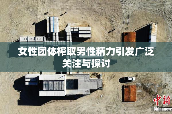 女性团体榨取男性精力引发广泛关注与探讨