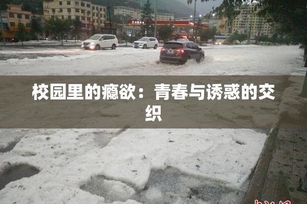 校园里的瘾欲：青春与诱惑的交织
