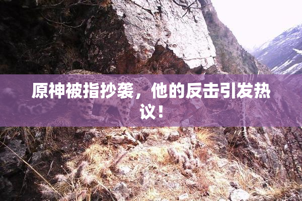 原神被指抄袭，他的反击引发热议！