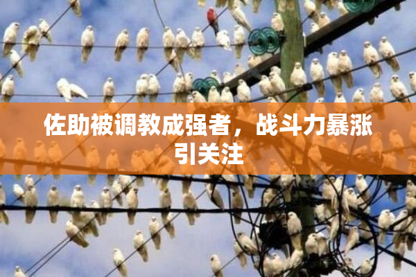 佐助被调教成强者，战斗力暴涨引关注