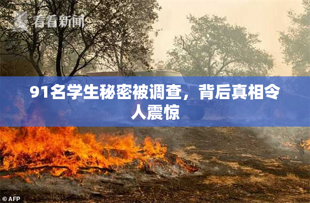 91名学生秘密被调查，背后真相令人震惊