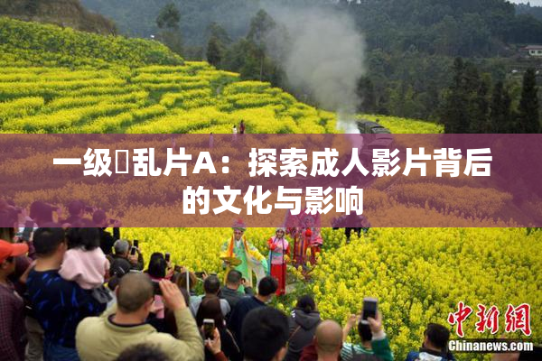 一级婬乱片A：探索成人影片背后的文化与影响