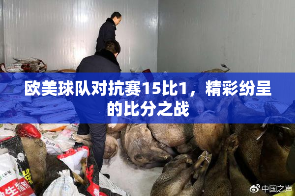 欧美球队对抗赛15比1，精彩纷呈的比分之战