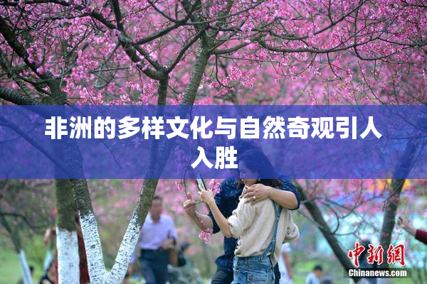 非洲的多样文化与自然奇观引人入胜