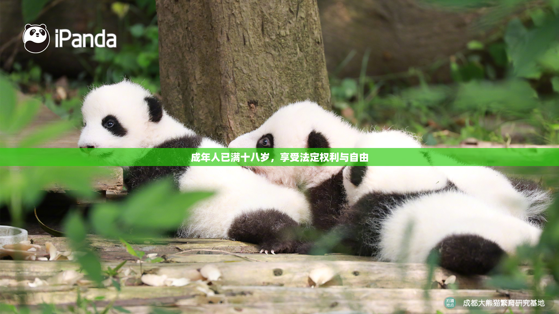 成年人已满十八岁，享受法定权利与自由