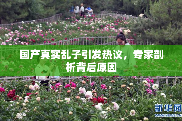 国产真实乱子引发热议，专家剖析背后原因