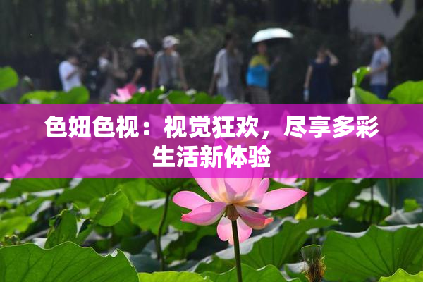 色妞色视：视觉狂欢，尽享多彩生活新体验