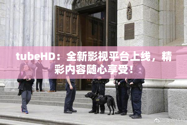 tubeHD：全新影视平台上线，精彩内容随心享受！