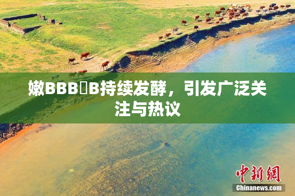 嫩BBB槡B持续发酵，引发广泛关注与热议