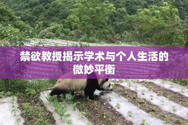 禁欲教授揭示学术与个人生活的微妙平衡