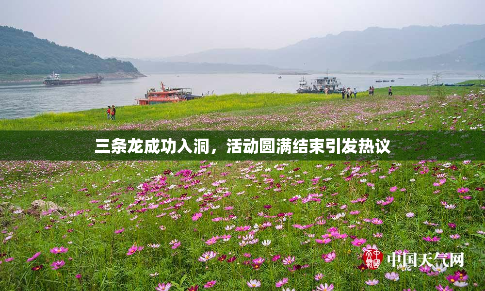 三条龙成功入洞，活动圆满结束引发热议