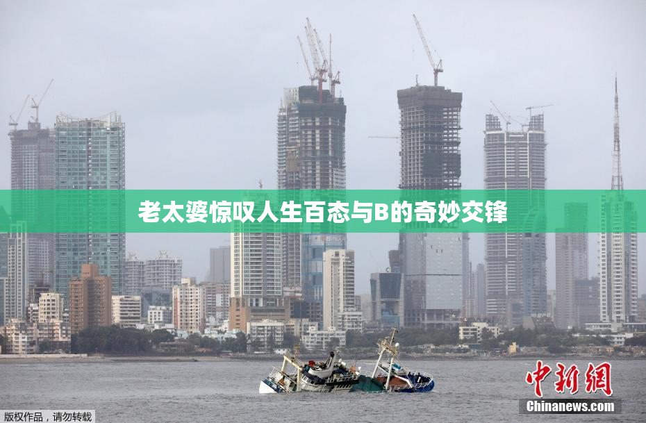 老太婆惊叹人生百态与B的奇妙交锋
