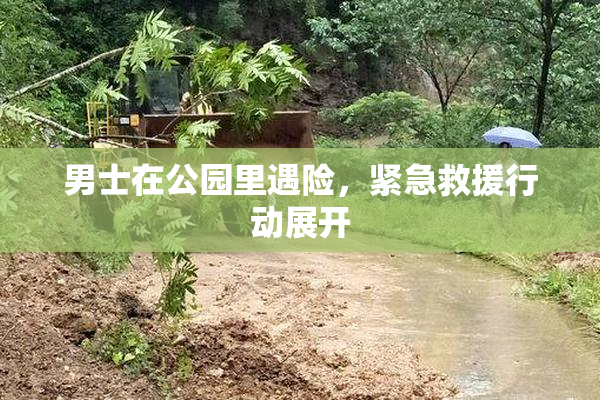 男士在公园里遇险，紧急救援行动展开