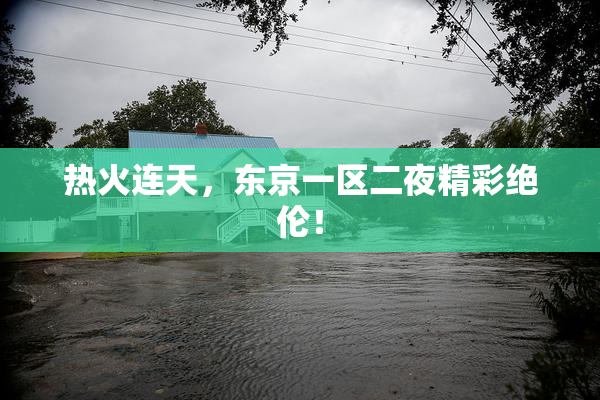 热火连天，东京一区二夜精彩绝伦！