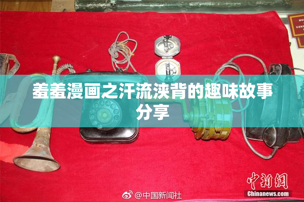 羞羞漫画之汗流浃背的趣味故事分享