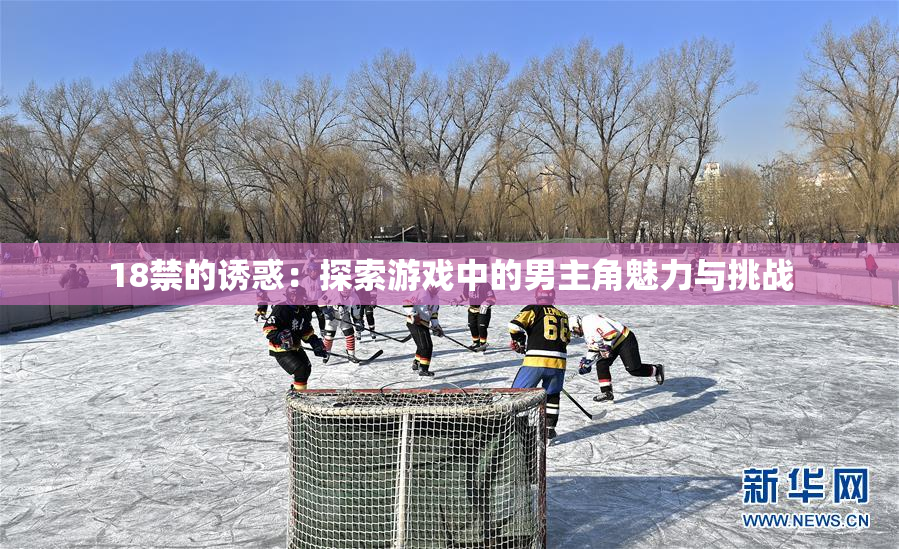 18禁的诱惑：探索游戏中的男主角魅力与挑战