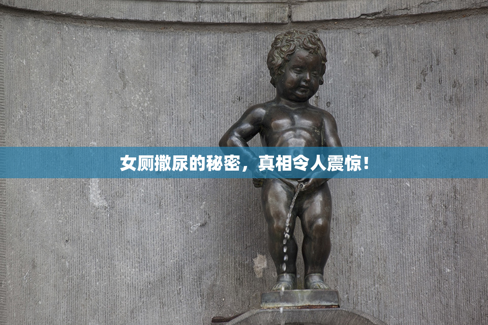 女厕撒尿的秘密，真相令人震惊！