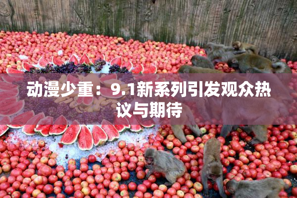 动漫少重：9.1新系列引发观众热议与期待