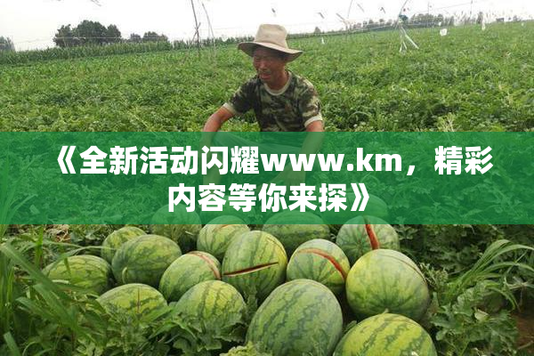 《全新活动闪耀www.km，精彩内容等你来探》