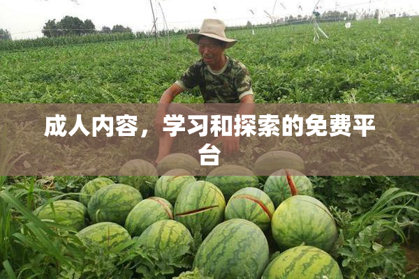 成人内容，学习和探索的免费平台