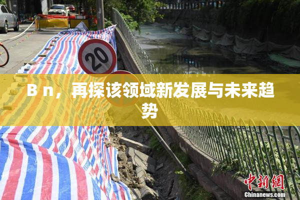 B n，再探该领域新发展与未来趋势
