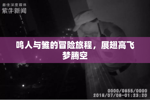 鸣人与雏的冒险旅程，展翅高飞梦腾空
