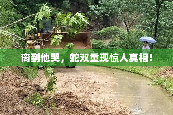 脔到他哭，蛇双重现惊人真相！