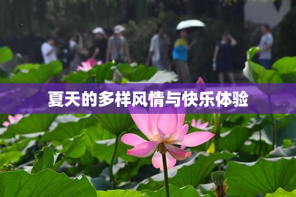 夏天的多样风情与快乐体验