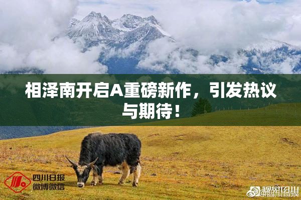 相泽南开启A重磅新作，引发热议与期待！