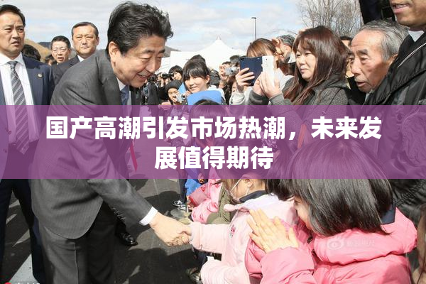 国产高潮引发市场热潮，未来发展值得期待