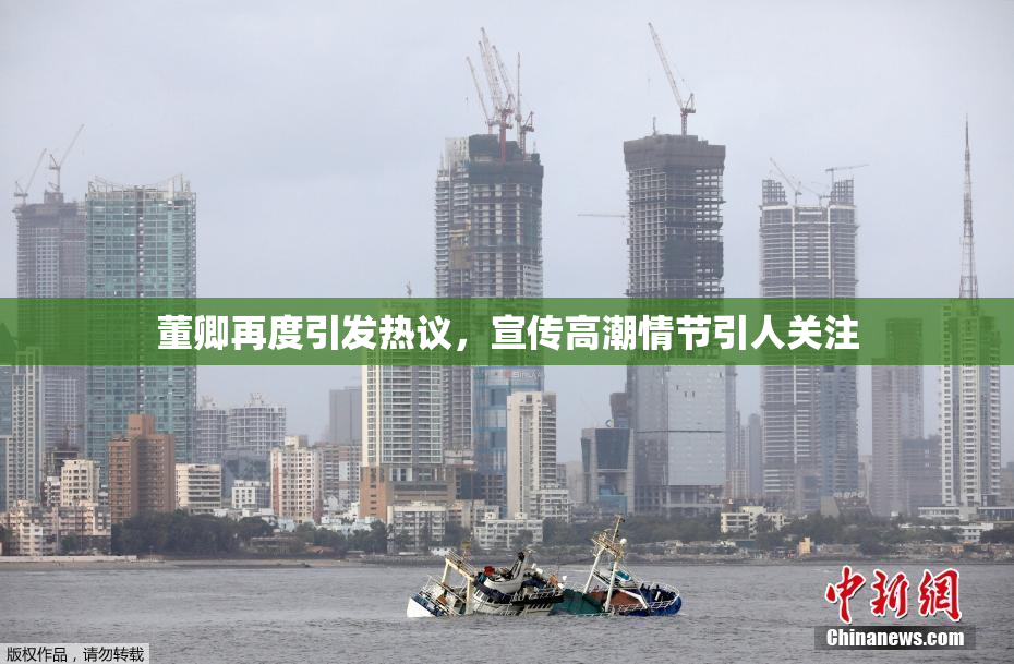 董卿再度引发热议，宣传高潮情节引人关注