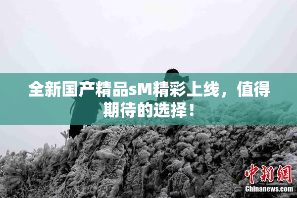 全新国产精品sM精彩上线，值得期待的选择！