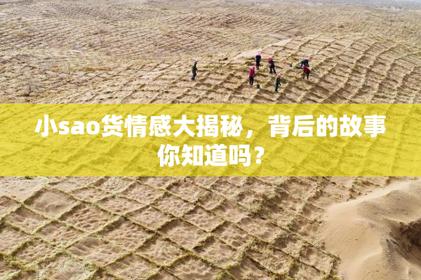 小sao货情感大揭秘，背后的故事你知道吗？