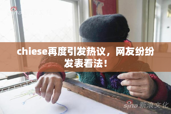 chiese再度引发热议，网友纷纷发表看法！