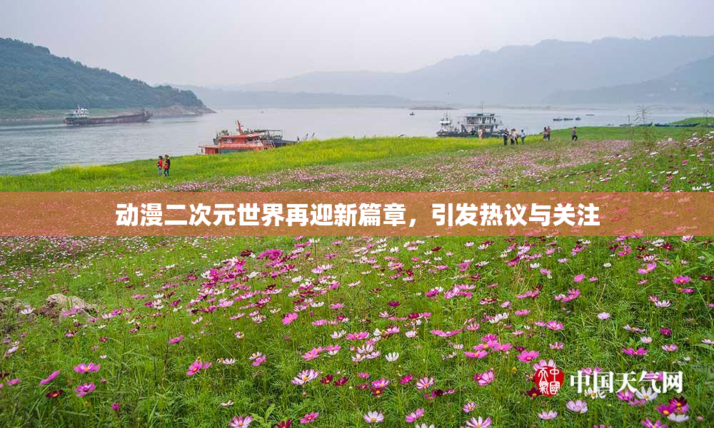 动漫二次元世界再迎新篇章，引发热议与关注