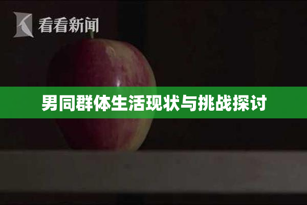 男同群体生活现状与挑战探讨