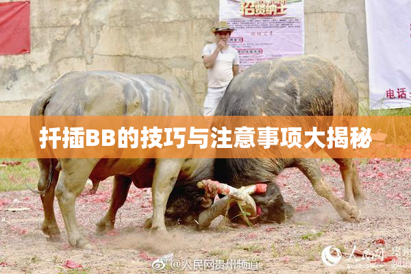 扦插BB的技巧与注意事项大揭秘