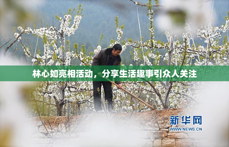 林心如亮相活动，分享生活趣事引众人关注
