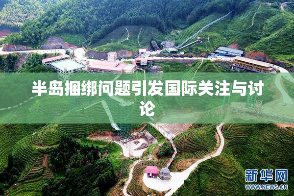 半岛捆绑问题引发国际关注与讨论