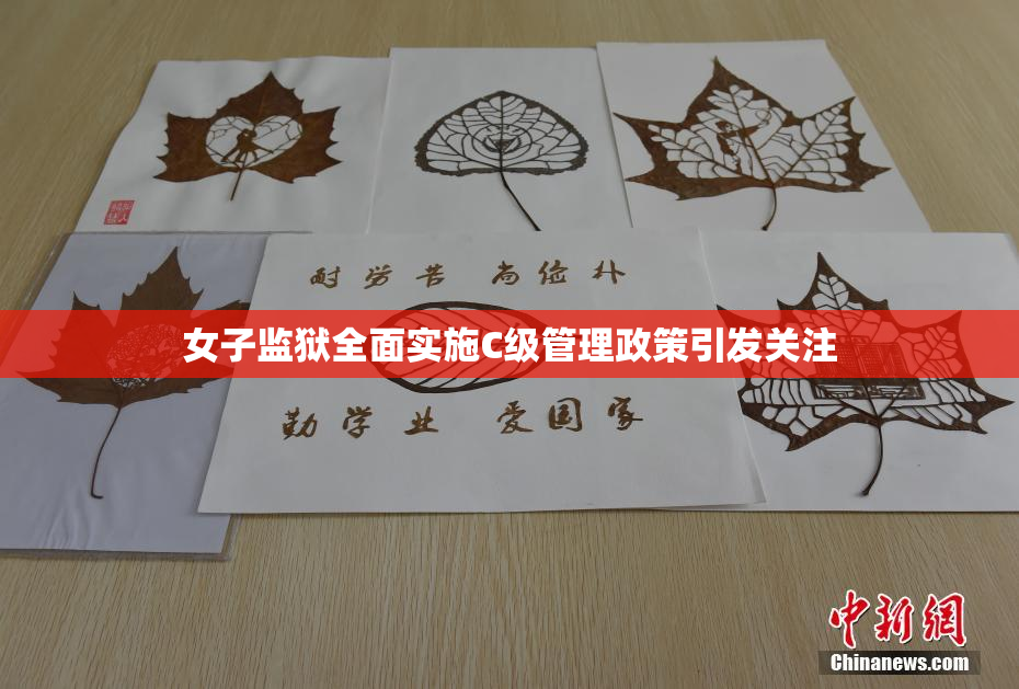 女子监狱全面实施C级管理政策引发关注
