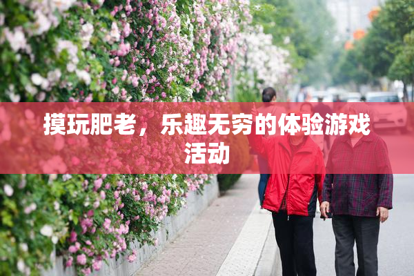 摸玩肥老，乐趣无穷的体验游戏活动