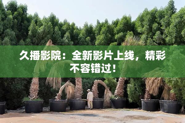 久播影院：全新影片上线，精彩不容错过！