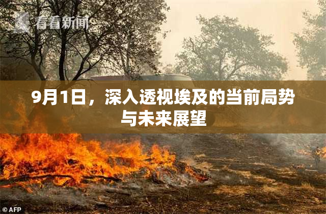 9月1日，深入透视埃及的当前局势与未来展望